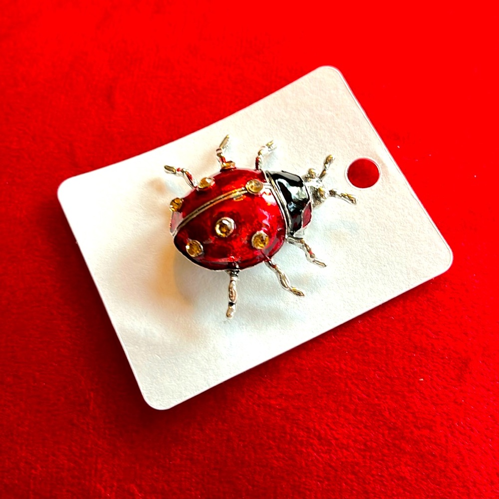 New Ladybug Brooch